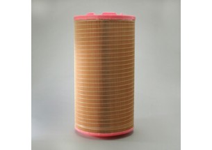 Filtre air DONALDSON P61-8931