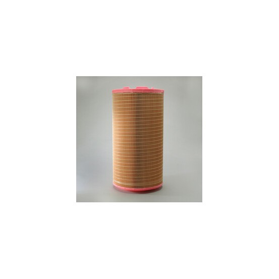 Filtre air DONALDSON P61-8931