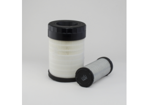 Jeu de 2 éléments à air DONALDSON X770692