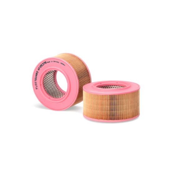 Element air FLEETGUARD AF25376 - 40084500